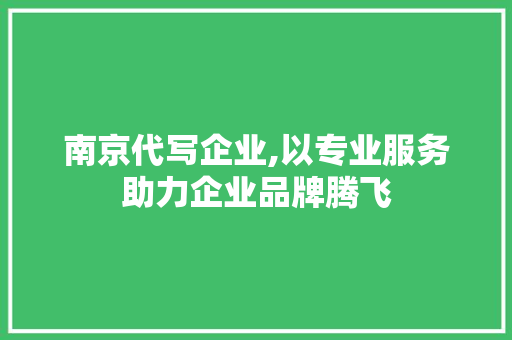 南京代写企业,以专业服务助力企业品牌腾飞