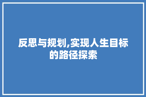 反思与规划,实现人生目标的路径探索