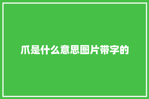爪是什么意思图片带字的 演讲稿