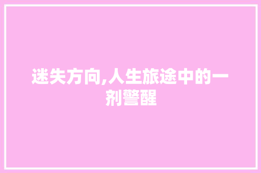 迷失方向,人生旅途中的一剂警醒