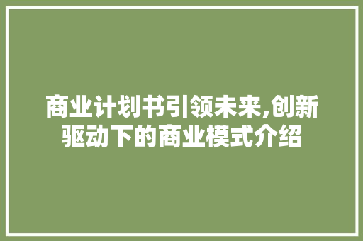 商业计划书引领未来,创新驱动下的商业模式介绍