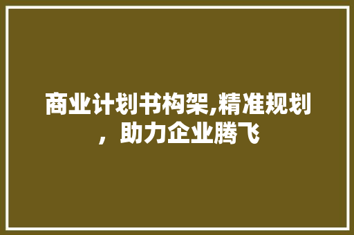 商业计划书构架,精准规划，助力企业腾飞