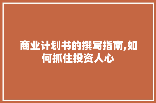 商业计划书的撰写指南,如何抓住投资人心
