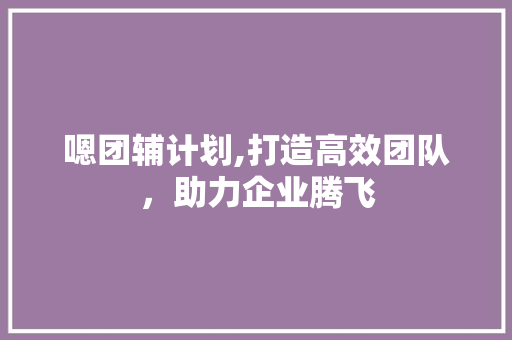 嗯团辅计划,打造高效团队，助力企业腾飞
