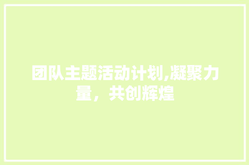 团队主题活动计划,凝聚力量，共创辉煌