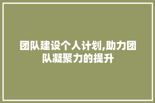 团队建设个人计划,助力团队凝聚力的提升