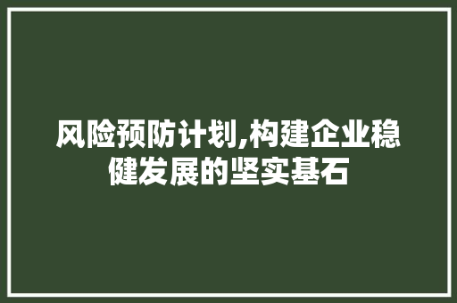 风险预防计划,构建企业稳健发展的坚实基石