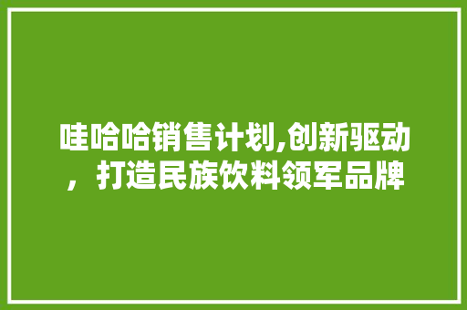 哇哈哈销售计划,创新驱动，打造民族饮料领军品牌