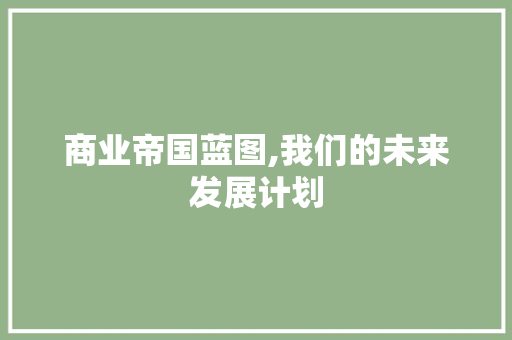 商业帝国蓝图,我们的未来发展计划