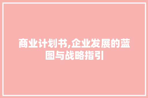 商业计划书,企业发展的蓝图与战略指引