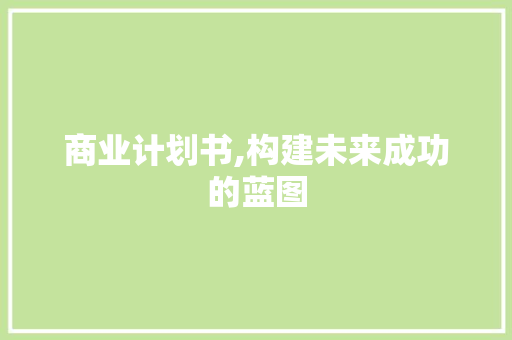 商业计划书,构建未来成功的蓝图