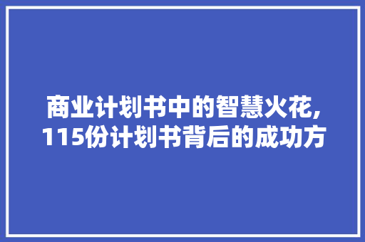 商业计划书中的智慧火花,115份计划书背后的成功方法