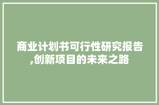 商业计划书可行性研究报告,创新项目的未来之路