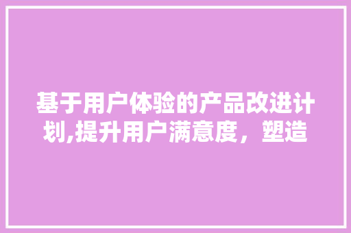 基于用户体验的产品改进计划,提升用户满意度，塑造核心竞争力