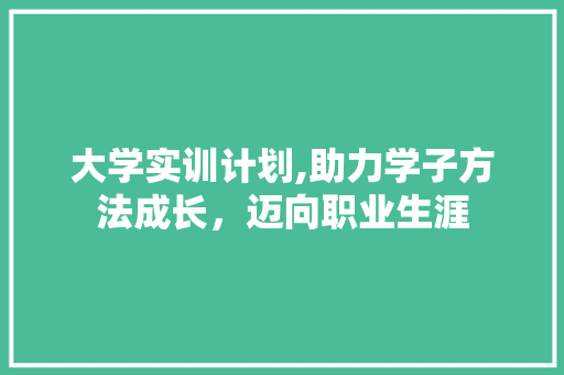 大学实训计划,助力学子方法成长，迈向职业生涯