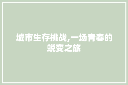 城市生存挑战,一场青春的蜕变之旅
