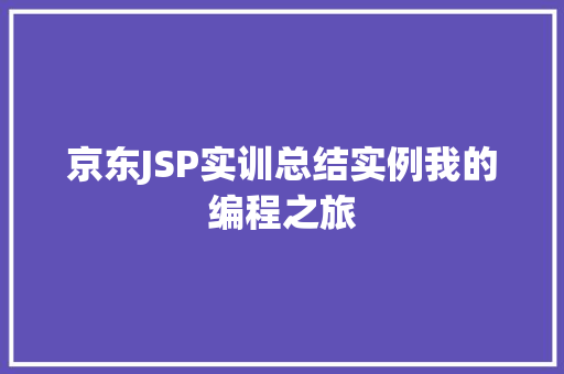 京东JSP实训总结实例我的编程之旅