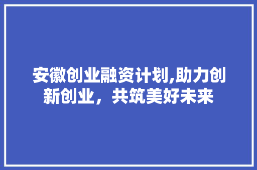 安徽创业融资计划,助力创新创业，共筑美好未来
