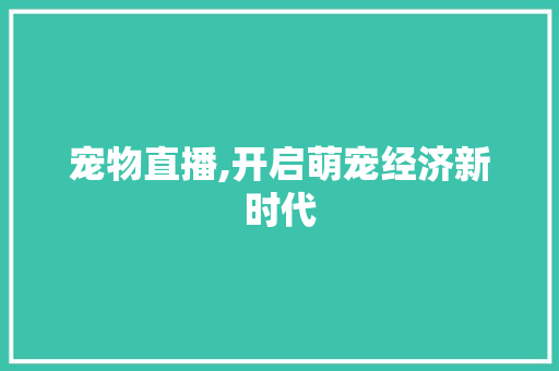 宠物直播,开启萌宠经济新时代