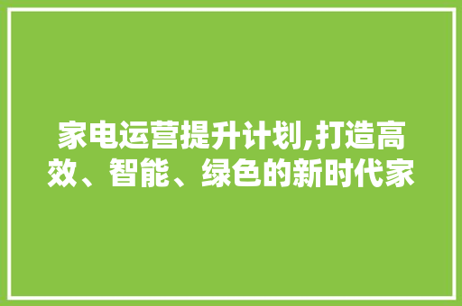 家电运营提升计划,打造高效、智能、绿色的新时代家电生态