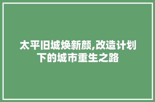 太平旧城焕新颜,改造计划下的城市重生之路
