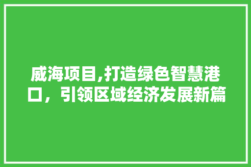 威海项目,打造绿色智慧港口，引领区域经济发展新篇章 工作总结