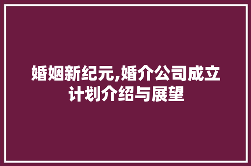 婚姻新纪元,婚介公司成立计划介绍与展望