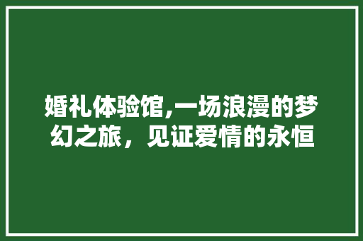 婚礼体验馆,一场浪漫的梦幻之旅，见证爱情的永恒 成语大全