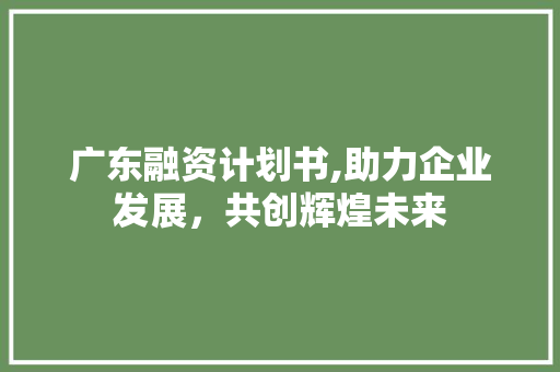 广东融资计划书,助力企业发展，共创辉煌未来