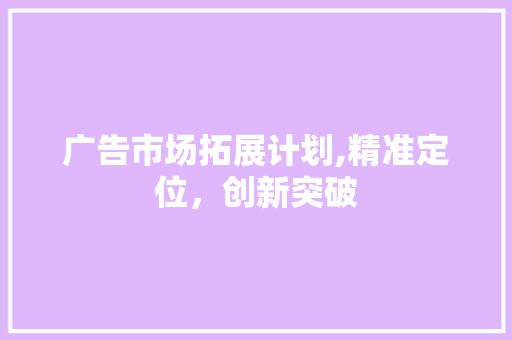 广告市场拓展计划,精准定位，创新突破 工作计划