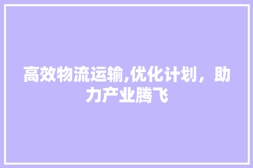 高效物流运输,优化计划，助力产业腾飞