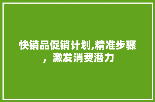 快销品促销计划,精准步骤，激发消费潜力