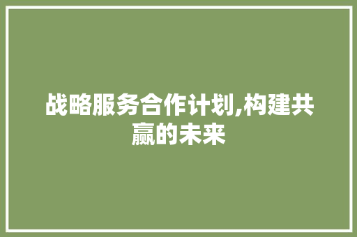 战略服务合作计划,构建共赢的未来