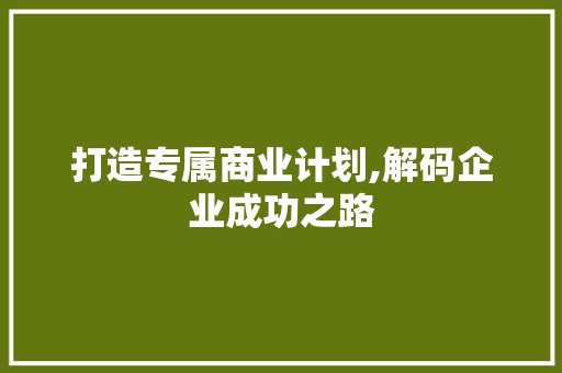打造专属商业计划,解码企业成功之路