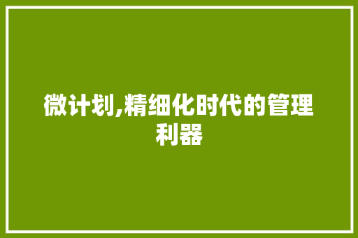微计划,精细化时代的管理利器