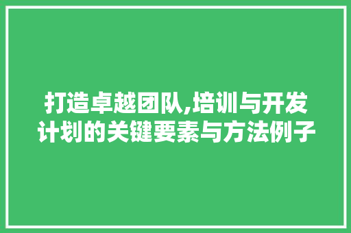 打造卓越团队,培训与开发计划的关键要素与方法例子 个人简历
