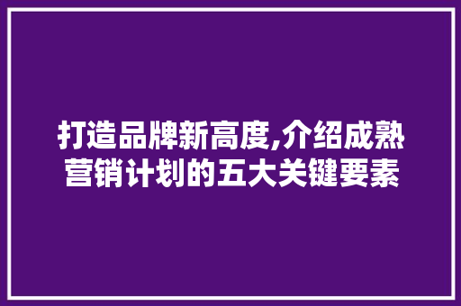打造品牌新高度,介绍成熟营销计划的五大关键要素