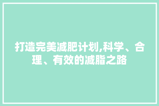 打造完美减肥计划,科学、合理、有效的减脂之路