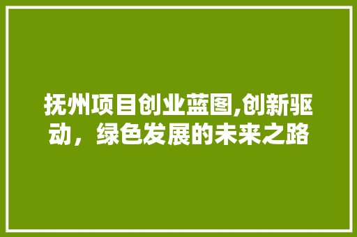 抚州项目创业蓝图,创新驱动，绿色发展的未来之路