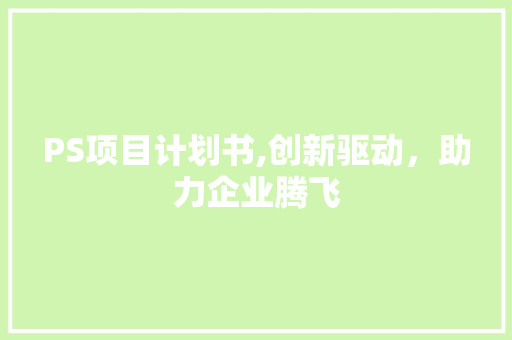 PS项目计划书,创新驱动，助力企业腾飞