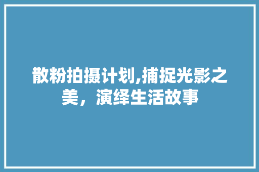 散粉拍摄计划,捕捉光影之美，演绎生活故事