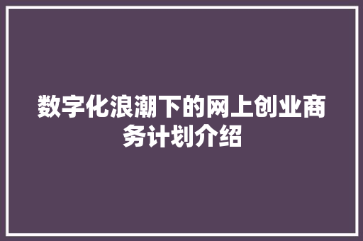 数字化浪潮下的网上创业商务计划介绍