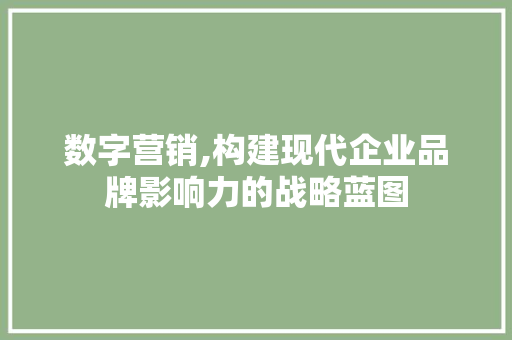 数字营销,构建现代企业品牌影响力的战略蓝图
