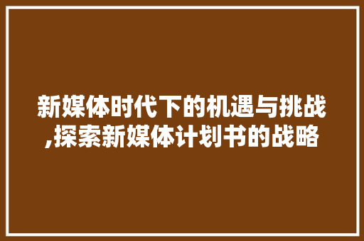 新媒体时代下的机遇与挑战,探索新媒体计划书的战略布局
