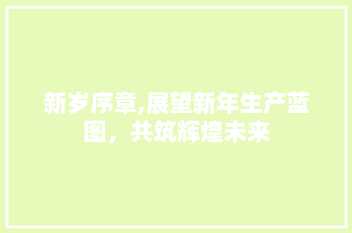 新岁序章,展望新年生产蓝图，共筑辉煌未来 国学经典