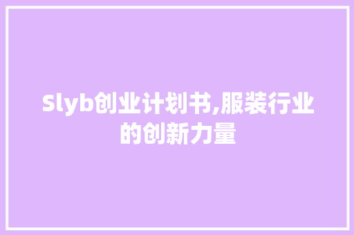 Slyb创业计划书,服装行业的创新力量