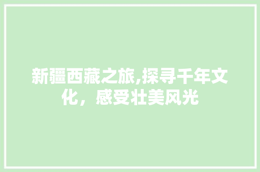 新疆西藏之旅,探寻千年文化，感受壮美风光