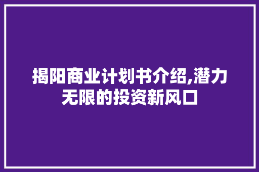 揭阳商业计划书介绍,潜力无限的投资新风口