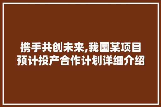 携手共创未来,我国某项目预计投产合作计划详细介绍