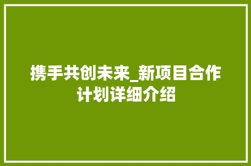 携手共创未来_新项目合作计划详细介绍